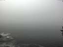 ./images/koeye/fitz-hugh/20160928/fitz-hugh20160928_121803.jpg