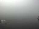 ./images/koeye/fitz-hugh/20160928/fitz-hugh20160928_122403.jpg