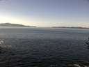 ./images/koeye/fitz-hugh/20160929/fitz-hugh20160929_121802.jpg