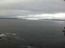 ./images/koeye/fitz-hugh/20160930/fitz-hugh20160930_121502.jpg