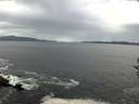 ./images/koeye/fitz-hugh/20161004/fitz-hugh20161004_122403.jpg