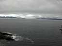 ./images/koeye/fitz-hugh/20161005/fitz-hugh20161005_121802.jpg