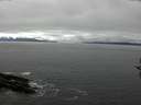 ./images/koeye/fitz-hugh/20161005/fitz-hugh20161005_122102.jpg
