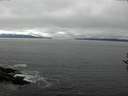 ./images/koeye/fitz-hugh/20161005/fitz-hugh20161005_122401.jpg