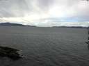 ./images/koeye/fitz-hugh/20161008/fitz-hugh20161008_120002.jpg