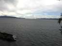 ./images/koeye/fitz-hugh/20161008/fitz-hugh20161008_121503.jpg