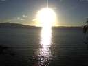 ./images/koeye/fitz-hugh/20161008/fitz-hugh20161008_180001.jpg
