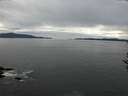 ./images/koeye/fitz-hugh/20161012/fitz-hugh20161012_121502.jpg