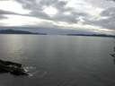 ./images/koeye/fitz-hugh/20161012/fitz-hugh20161012_140003.jpg