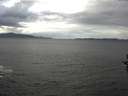 ./images/koeye/fitz-hugh/20161013/fitz-hugh20161013_122102.jpg
