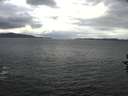 ./images/koeye/fitz-hugh/20161013/fitz-hugh20161013_122703.jpg