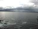 ./images/koeye/fitz-hugh/20161018/fitz-hugh20161018_122402.jpg
