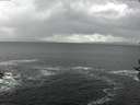 ./images/koeye/fitz-hugh/20161018/fitz-hugh20161018_130003.jpg