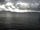 ./images/koeye/fitz-hugh/20161018/fitz-hugh20161018_153003.jpg