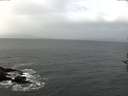 ./images/koeye/fitz-hugh/20161019/fitz-hugh20161019_121502.jpg