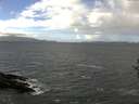 ./images/koeye/fitz-hugh/20161020/fitz-hugh20161020_122402.jpg
