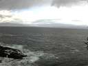 ./images/koeye/fitz-hugh/20161021/fitz-hugh20161021_122702.jpg