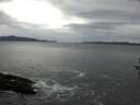 ./images/koeye/fitz-hugh/20161022/fitz-hugh20161022_122401.jpg