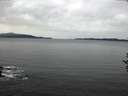 ./images/koeye/fitz-hugh/20161022/fitz-hugh20161022_180002.jpg