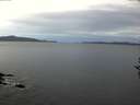 ./images/koeye/fitz-hugh/20161024/fitz-hugh20161024_080001.jpg