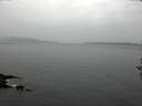 ./images/koeye/fitz-hugh/20161024/fitz-hugh20161024_120003.jpg