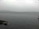 ./images/koeye/fitz-hugh/20161024/fitz-hugh20161024_122103.jpg
