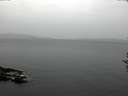 ./images/koeye/fitz-hugh/20161024/fitz-hugh20161024_122403.jpg