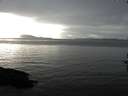 ./images/koeye/fitz-hugh/20161025/fitz-hugh20161025_160002.jpg
