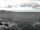 ./images/koeye/fitz-hugh/20161105/fitz-hugh20161105_080002.jpg