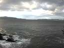 ./images/koeye/fitz-hugh/20161105/fitz-hugh20161105_100002.jpg