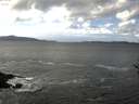 ./images/koeye/fitz-hugh/20161105/fitz-hugh20161105_122401.jpg