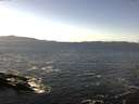 ./images/koeye/fitz-hugh/20161106/fitz-hugh20161106_121801.jpg