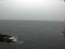 ./images/koeye/fitz-hugh/20161107/fitz-hugh20161107_120001.jpg