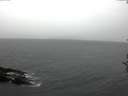 ./images/koeye/fitz-hugh/20161107/fitz-hugh20161107_121502.jpg