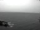 ./images/koeye/fitz-hugh/20161107/fitz-hugh20161107_122101.jpg