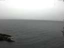 ./images/koeye/fitz-hugh/20161107/fitz-hugh20161107_122402.jpg