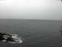 ./images/koeye/fitz-hugh/20161107/fitz-hugh20161107_122703.jpg