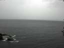 ./images/koeye/fitz-hugh/20161107/fitz-hugh20161107_140003.jpg