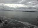 ./images/koeye/fitz-hugh/20161111/fitz-hugh20161111_121502.jpg