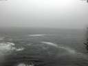 ./images/koeye/fitz-hugh/20161112/fitz-hugh20161112_100003.jpg