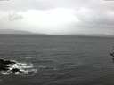 ./images/koeye/fitz-hugh/20161113/fitz-hugh20161113_080002.jpg