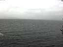 ./images/koeye/fitz-hugh/20161113/fitz-hugh20161113_121502.jpg