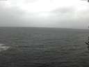 ./images/koeye/fitz-hugh/20161113/fitz-hugh20161113_122402.jpg