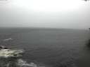 ./images/koeye/fitz-hugh/20161113/fitz-hugh20161113_140002.jpg