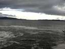 ./images/koeye/fitz-hugh/20161115/fitz-hugh20161115_122102.jpg