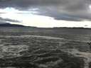 ./images/koeye/fitz-hugh/20161115/fitz-hugh20161115_122401.jpg
