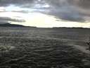 ./images/koeye/fitz-hugh/20161115/fitz-hugh20161115_122702.jpg