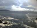 ./images/koeye/fitz-hugh/20161116/fitz-hugh20161116_100002.jpg