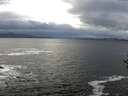 ./images/koeye/fitz-hugh/20161117/fitz-hugh20161117_122101.jpg