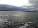 ./images/koeye/fitz-hugh/20161117/fitz-hugh20161117_122702.jpg